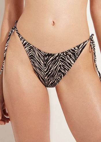 Abajo De Bikini Calzedonia Tanga Zebra Nairobi Mujer Negras | CO2550PQ