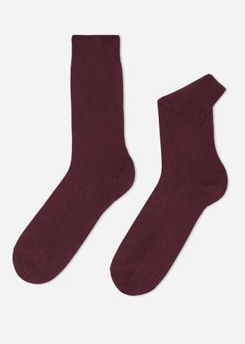 Calcetines Calzedonia Crew with Cashmere Hombre Burdeos | CO1350QZ