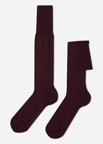 Calcetines Calzedonia Lisle Thread Long Hombre Burdeos | CO1430EX